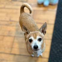 Thumbnail photo of Barney #4