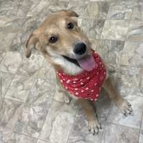 Thumbnail photo of Trudy #2