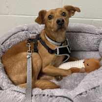 Thumbnail photo of Hanson #1