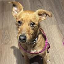 Thumbnail photo of Hanson #2