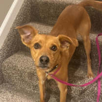 Thumbnail photo of Hanson #3