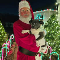 Thumbnail photo of Ava #3