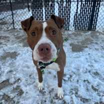 Thumbnail photo of Renee #2