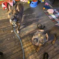 Thumbnail photo of Frosty #2