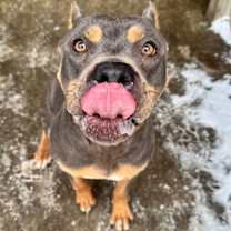 Thumbnail photo of Noel #2