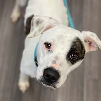 Thumbnail photo of Jonah #1