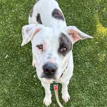 Thumbnail photo of Jonah #2