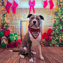 Thumbnail photo of Kobe #1