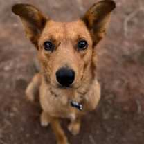 Thumbnail photo of Ruth #1