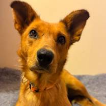 Thumbnail photo of Ruth #2