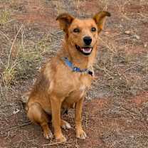 Thumbnail photo of Ruth #4