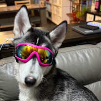 Thumbnail photo of Kira  #4