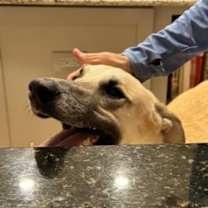 Thumbnail photo of Jake #3