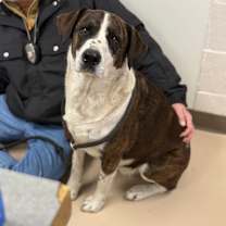 Thumbnail photo of Clinton (east 7th) #1