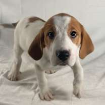 Thumbnail photo of Rubble #2