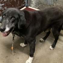 Thumbnail photo of GARY (Kenwood) #2