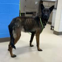 Thumbnail photo of Thanos (Dollarway RD)  #3