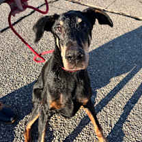 Thumbnail photo of Garth #1