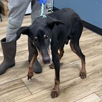 Thumbnail photo of Garth #2