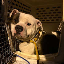 Thumbnail photo of Franklin  #2