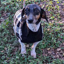 Thumbnail photo of Gemma #4