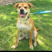 Thumbnail photo of Charlie #2