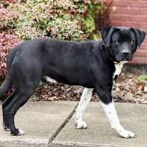 Thumbnail photo of TRACE #1