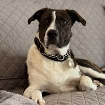 Thumbnail photo of Serena #1