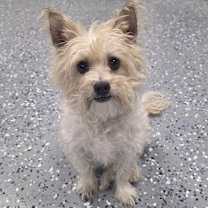 Thumbnail photo of Otto #1