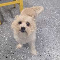 Thumbnail photo of Otto #2