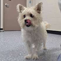 Thumbnail photo of Otto #3