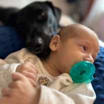 Thumbnail photo of Camden #4