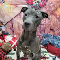 Thumbnail photo of Hope #2