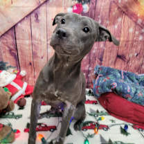 Thumbnail photo of Hope #3