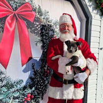 Thumbnail photo of Ava #2