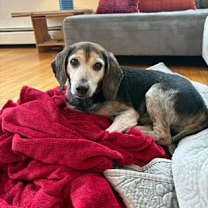 Thumbnail photo of Zeus #2