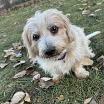 Thumbnail photo of Preston #1