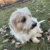 Thumbnail photo of Preston #2