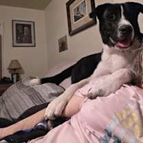 Thumbnail photo of Ruger #2