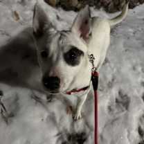 Thumbnail photo of Kilo #1