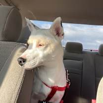 Thumbnail photo of Kilo #4