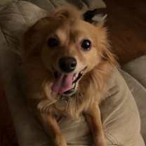 Thumbnail photo of Carmella #3