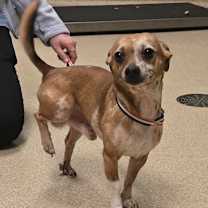 Thumbnail photo of Hunter #1