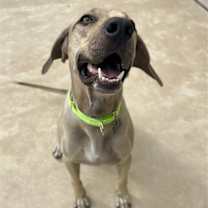 Thumbnail photo of Caleb #3