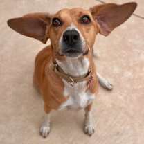 Thumbnail photo of Caroline #3