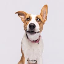 Thumbnail photo of Terra 💎 #2