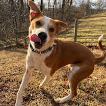 Thumbnail photo of Domingo #1