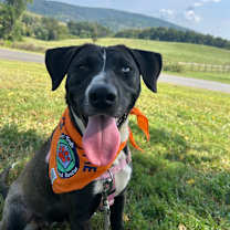 Thumbnail photo of Annie #1