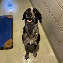 Thumbnail photo of Avalyn #2