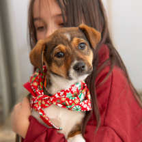 Thumbnail photo of Olivia #1